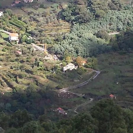Casa Loureiro - Vista Rio Douro Vila Resende Exterior foto