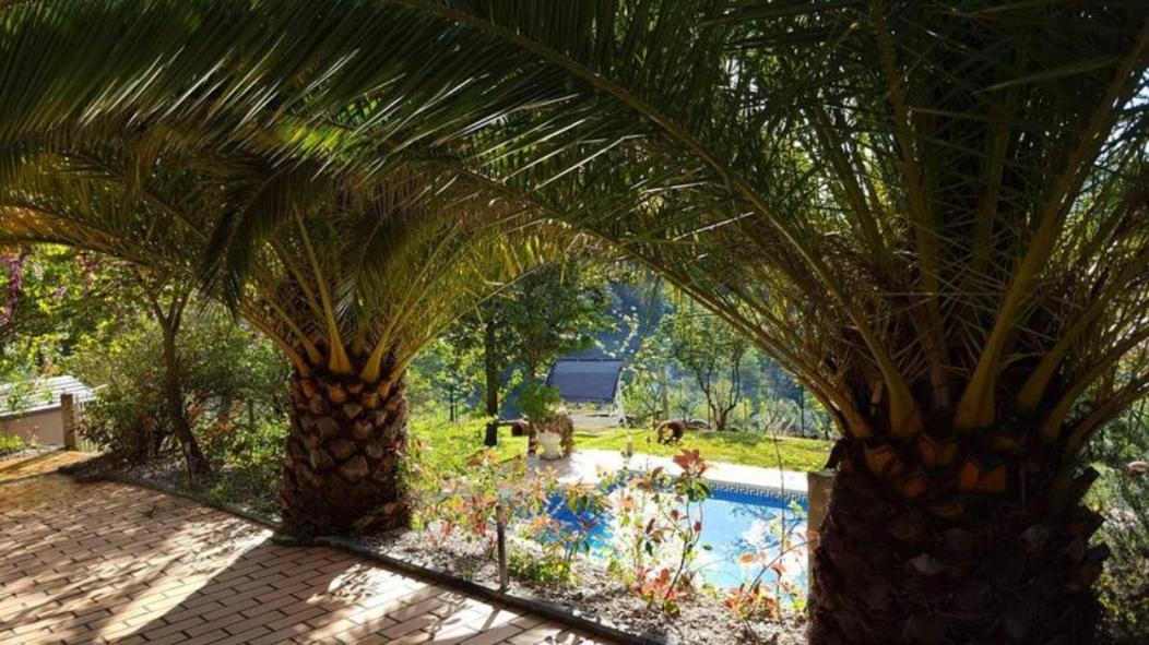 Casa Loureiro - Vista Rio Douro Villa *