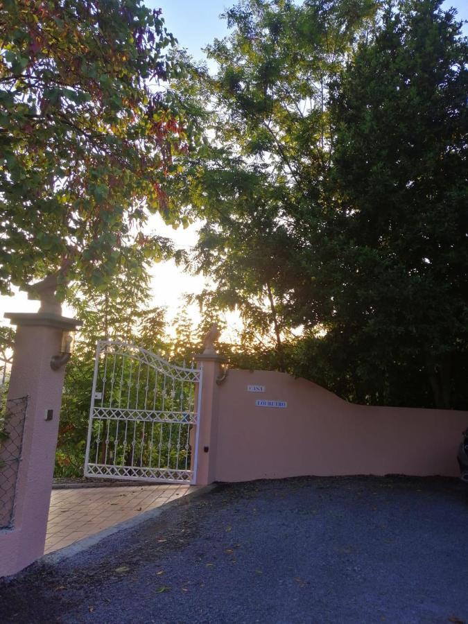 Casa Loureiro - Vista Rio Douro Villa Resende