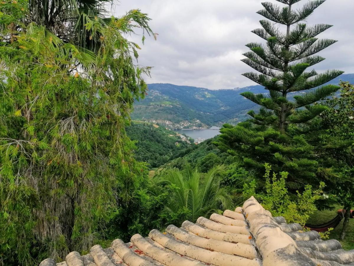 Casa Loureiro - Vista Rio Douro Resende