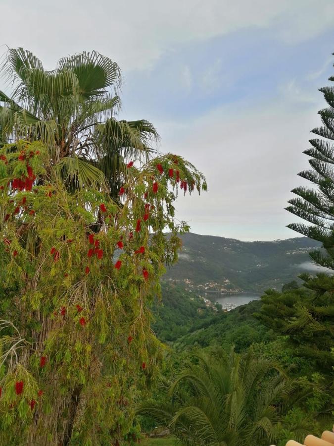 Casa Loureiro - Vista Rio Douro Villa