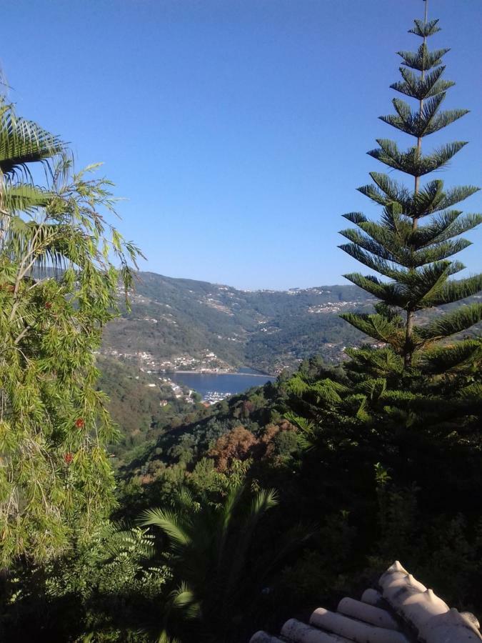 Casa Loureiro - Vista Rio Douro * Resende